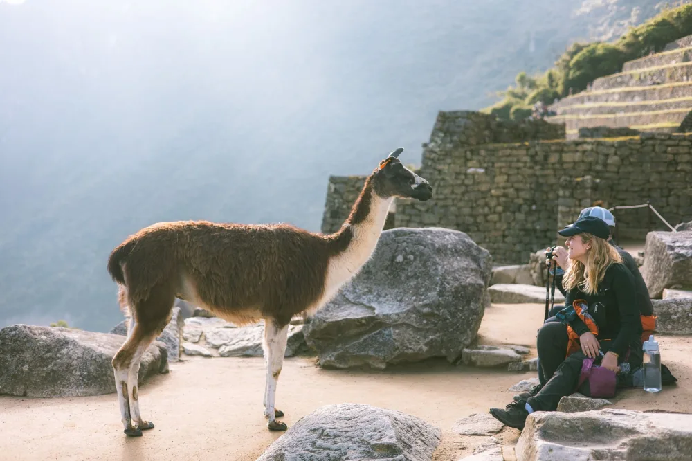 Como implementar RAG com Llama 2 local: reduzindo alucinações sem depender de APIs externas